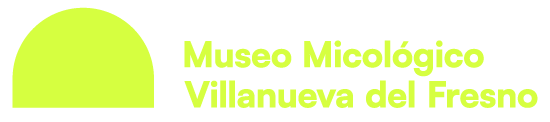 Logo Museo